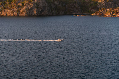 Sailboat sailing in sea