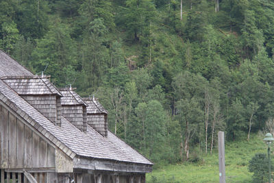 Built structure against trees