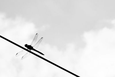 Low angle view of cloudy sky