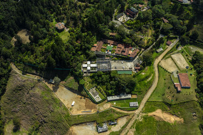 High angle view of road amidst trees and buildings