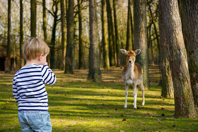 Boy standing by trees in forest