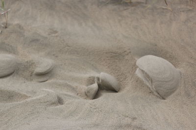 Close-up of sand