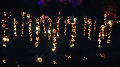 Firework display at night