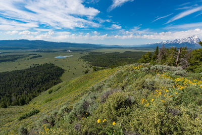 Scenic view of landscape against sky