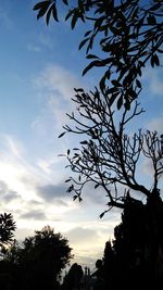 Low angle view of silhouette trees against sky