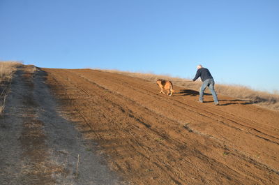 Rear view full length of man walking with dog on dirt road against clear sky