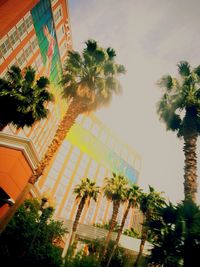 Low angle view of palm trees against buildings
