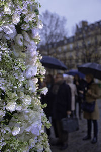 Close-up of woman holding flowers