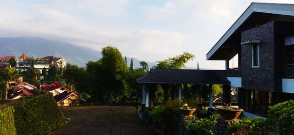 Houses and trees by building against sky