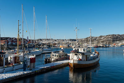 Sailboats moored in harbor