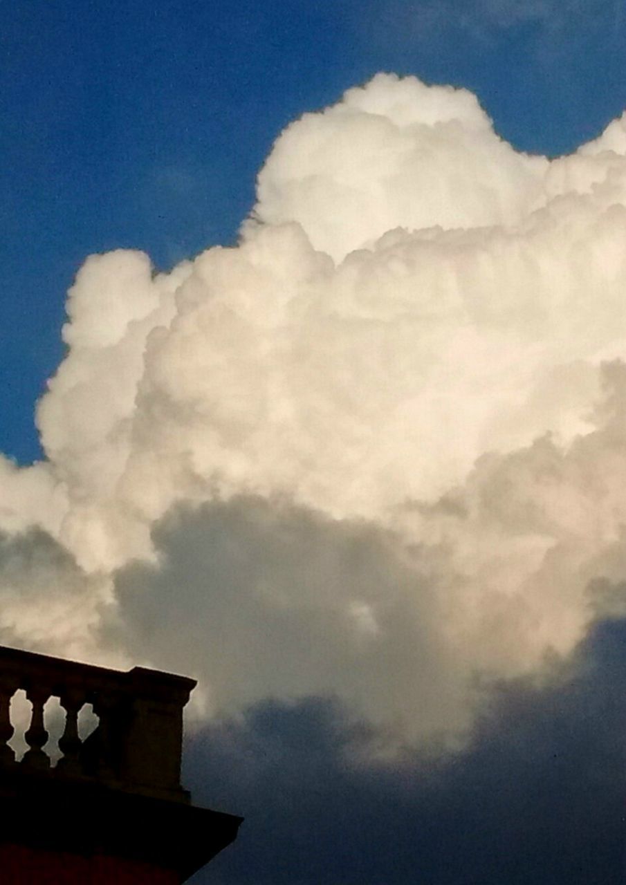 LOW ANGLE VIEW OF CLOUDY SKY