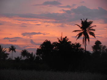 Silhouette trees against sky during sunset