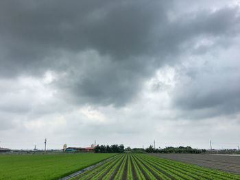 Scenic view of field against cloudy sky