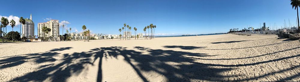 Panoramic view of palm trees on beach against blue sky