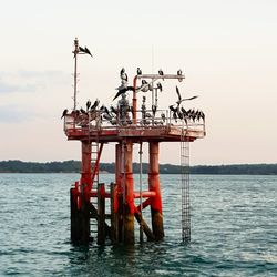 Lifeguard hut in sea against clear sky