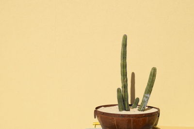 Close-up of yellow container against white background