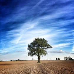 Scenic view of field against cloudy sky