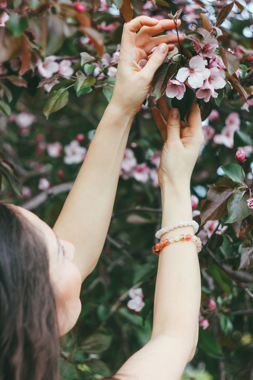 LOW SECTION OF WOMAN HAND HOLDING FLOWERING PLANTS