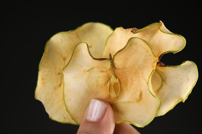 Close-up of hand holding leaf against black background