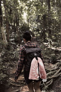 Rear view of people walking in forest