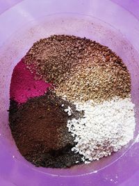 High angle view of dessert on plate