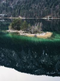 Scenic view of lake by trees in forest