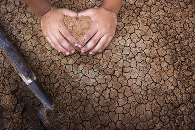 Cropped hands of child holding sand on ground