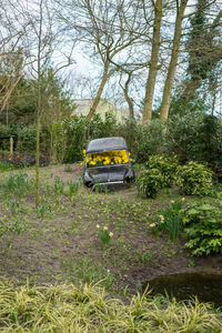 Abandoned car on field