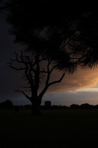 Silhouette trees on field against sky at sunset