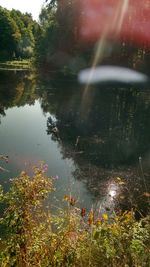 Reflection of trees in lake