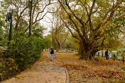 Rear view of women walking on footpath in a park amidst trees