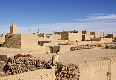  ksar maadid  fortified village and oasis.