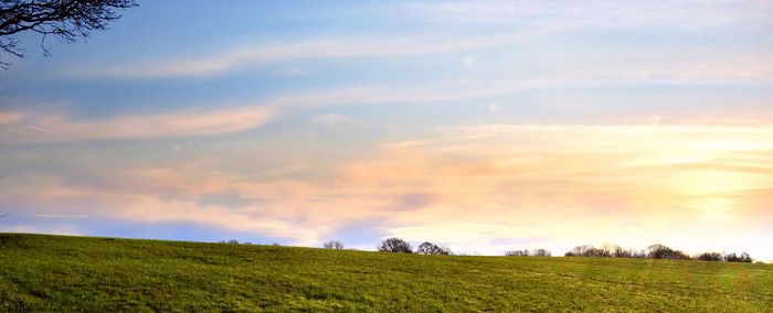 Scenic view of grassy field against cloudy sky