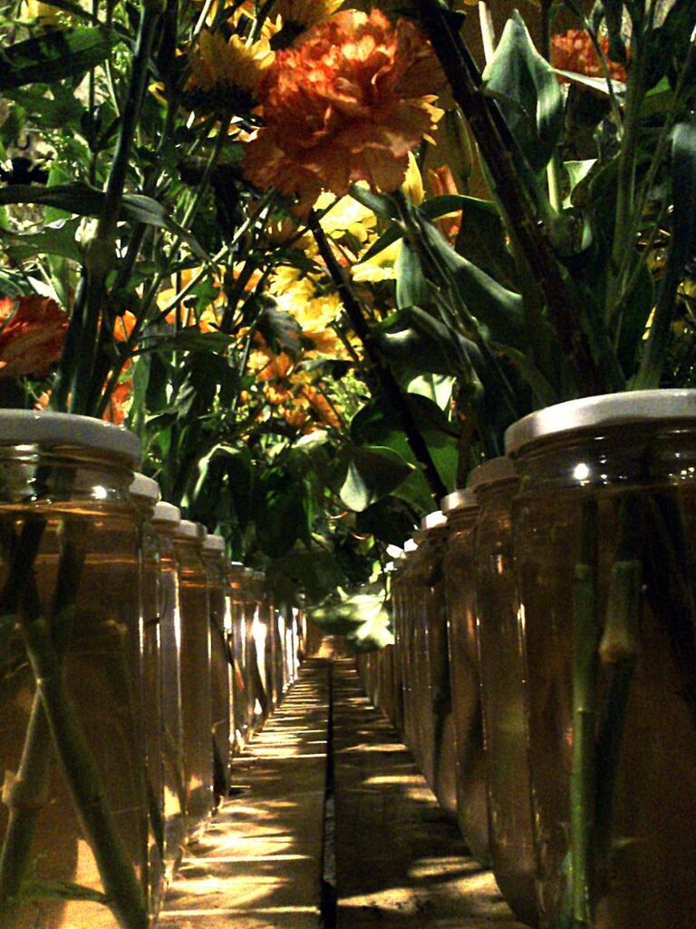 potted plant, growth, freshness, leaf, table, indoors, plant, in a row, sunlight, flower, green color, nature, vase, day, no people, flower pot, empty, diminishing perspective, beauty in nature, tree