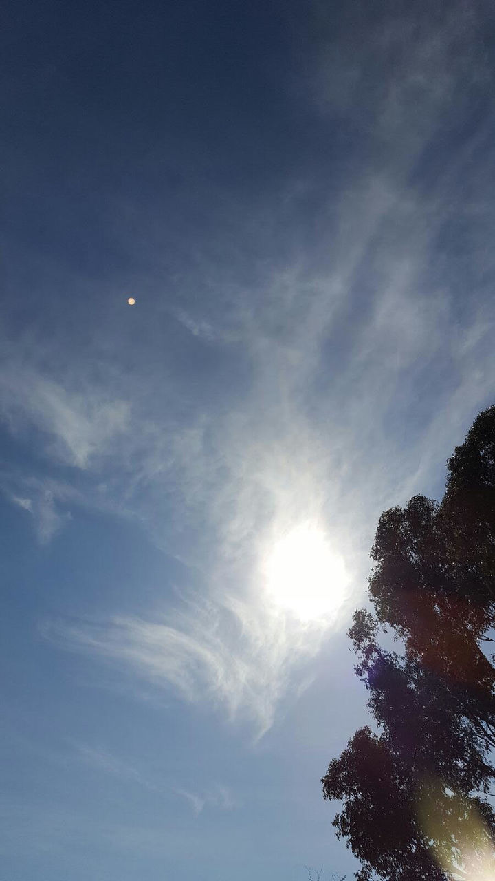 low angle view, sun, sky, tree, sunbeam, beauty in nature, sunlight, tranquility, nature, blue, cloud - sky, lens flare, scenics, tranquil scene, cloud, outdoors, day, bright, no people, silhouette