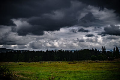 Scenic view of field against sky