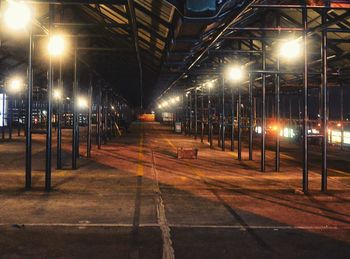 Illuminated street lights at night