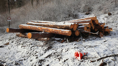 High angle view of logs on field