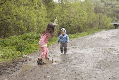 Rear view of siblings walking on tree