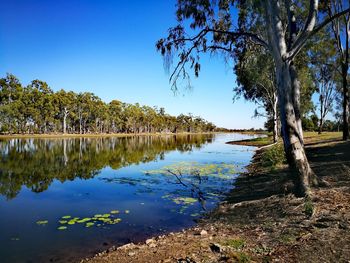 Reflection of trees in lake against blue sky