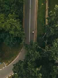 High angle view of road amidst trees in forest