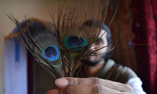 Close-up of hand holding peacock feather