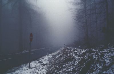 Scenic view of snow covered landscape