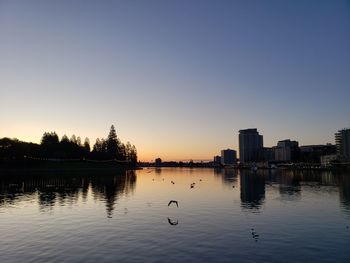 Silhouette birds on lake against sky during sunset