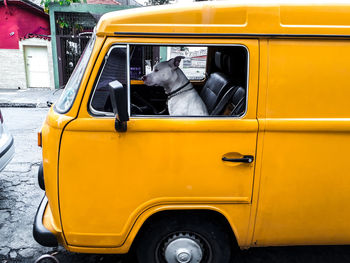 Close-up of yellow car on street