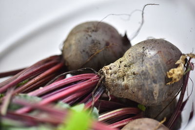 Close-up of food on table