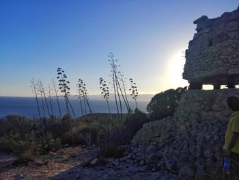 Plants growing on landscape against clear sky