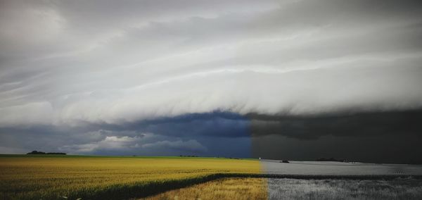 Scenic view of field against sky