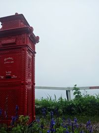 Red flowering plants by building against clear sky