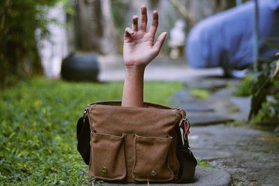 Digital composite image of hand in bag on grass